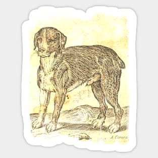 Italian Dog Sticker